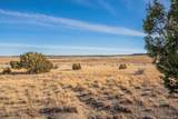24 Hatchet Ranch - Photo 10