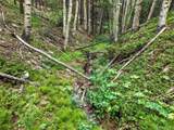  Aspen Way - Photo 32