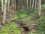  Aspen Way - Photo 33