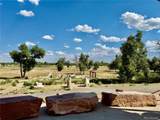 4222 91st Drive - Photo 49
