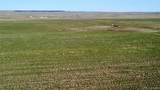  County Road 125 - Photo 14
