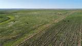 County Road 125 - Photo 15