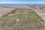 54000 (Parcel C) County Rd 46 - Photo 15
