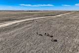 54000 (Parcel C) County Rd 46 - Photo 17
