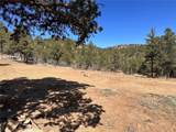 000 Big Pine Ridge - Photo 2