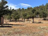 000 Big Pine Ridge - Photo 11