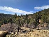 000 Big Pine Ridge - Photo 18