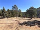 000 Big Pine Ridge - Photo 4