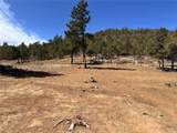000 Big Pine Ridge - Photo 5