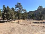 000 Big Pine Ridge - Photo 6