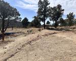 000 Big Pine Ridge - Photo 7
