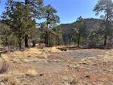 000 Big Pine Ridge - Photo 8