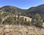 000 Big Pine Ridge - Photo 9