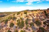 14 Fishers Peak Ranch - Photo 2