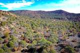14 Fishers Peak Ranch - Photo 15