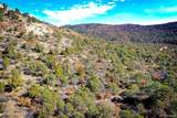 14 Fishers Peak Ranch - Photo 16