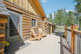 602 Dory Lakes Drive - Photo 6