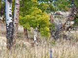 12414 Us Hwy 285 - Photo 11