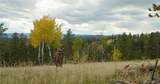 12414 Us Hwy 285 - Photo 8