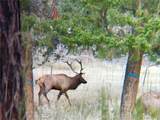 12414 Us Hwy 285 - Photo 10