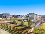 10062 Antelope Ravine Drive - Photo 41