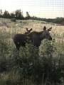 216 Glacier Ridge Road - Photo 35