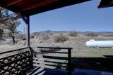1165 Stagecoach Trail - Photo 19