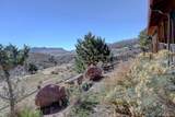 1165 Stagecoach Trail - Photo 35