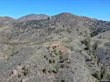 1165 Stagecoach Trail - Photo 44