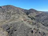 1165 Stagecoach Trail - Photo 45