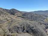 1165 Stagecoach Trail - Photo 46