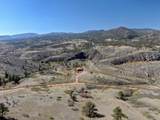 1165 Stagecoach Trail - Photo 49