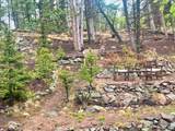 71 Red Cloud Drive - Photo 48