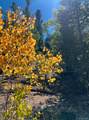 71 Red Cloud Drive - Photo 49