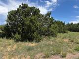  Old West Court - Photo 11