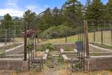 9610 Perry Park Road - Photo 37