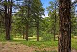 9610 Perry Park Road - Photo 43