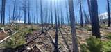 Lot's 854,855 Slaoui Place - Photo 2