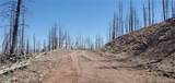 Lot's 854,855 Slaoui Place - Photo 11