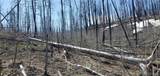 Lot's 854,855 Slaoui Place - Photo 5