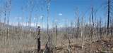 Lot's 854,855 Slaoui Place - Photo 9