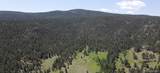 591599 Soul Shine Road - Photo 28