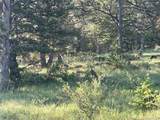 591599 Soul Shine Road - Photo 30