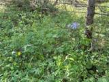 591599 Soul Shine Road - Photo 44