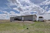 11159 Pine Meadows Drive - Photo 40