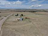 11159 Pine Meadows Drive - Photo 5