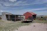 11159 Pine Meadows Drive - Photo 41