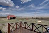 11159 Pine Meadows Drive - Photo 43
