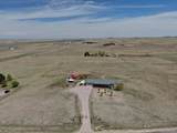 11159 Pine Meadows Drive - Photo 44
