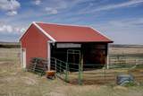11159 Pine Meadows Drive - Photo 10